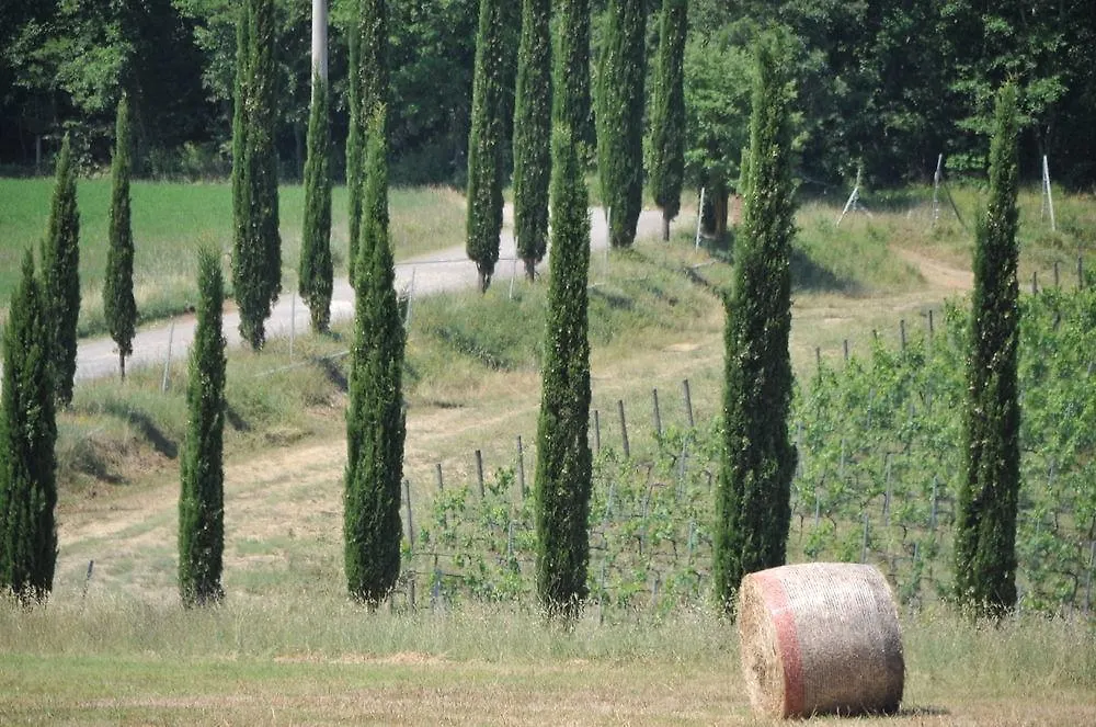 Farma Tenuta Casabianca Murlo