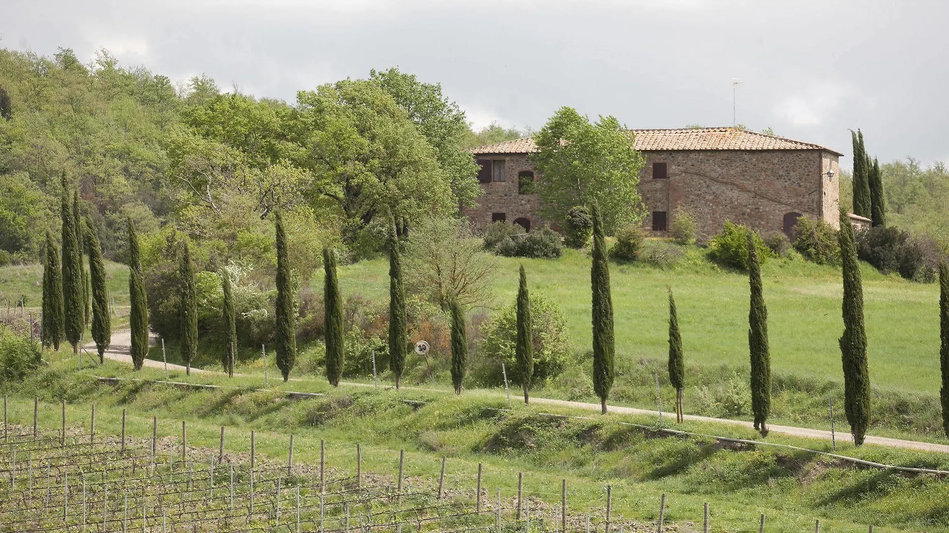 Farma Tenuta Casabianca Murlo