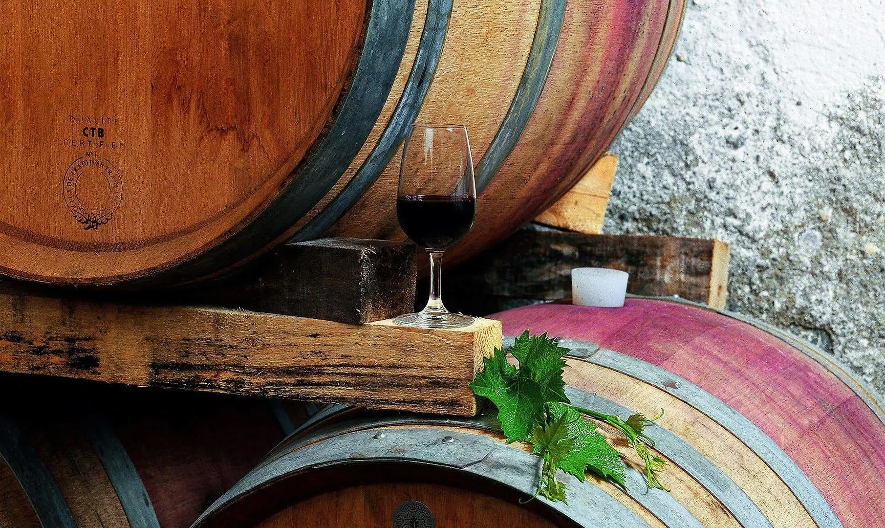 Tenuta Casabianca Murlo Farma
